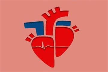 بازتوانی قلبی، تکمیل‌کننده درمان‌های نوین قلب و عامل کلیدی در پیشگیری از عود بیماری