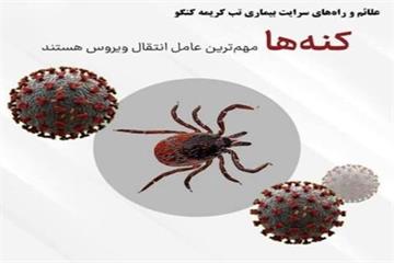 تب کریمه کنگو؛ بیماری قابل پیشگیری با رعایت اصول بهداشتی