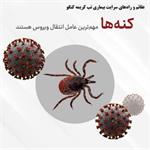 تب کریمه کنگو؛ بیماری قابل پیشگیری با رعایت اصول بهداشتی