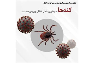 تب کریمه کنگو؛ بیماری قابل پیشگیری با رعایت اصول بهداشتی
