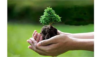 کاشت نهال به مناسبت روز درختکاری